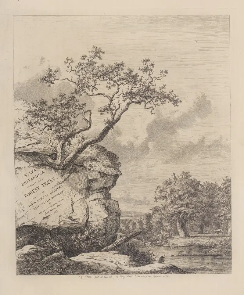 Titulní list, Jacob George Strutt