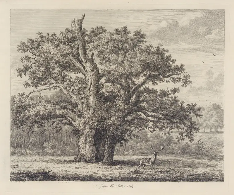 Queen Elizabeth's Oak von Jacob George Strutt