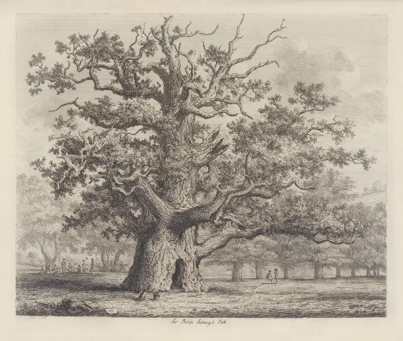 Sir Philip Sidneys Eiche von Jacob George Strutt