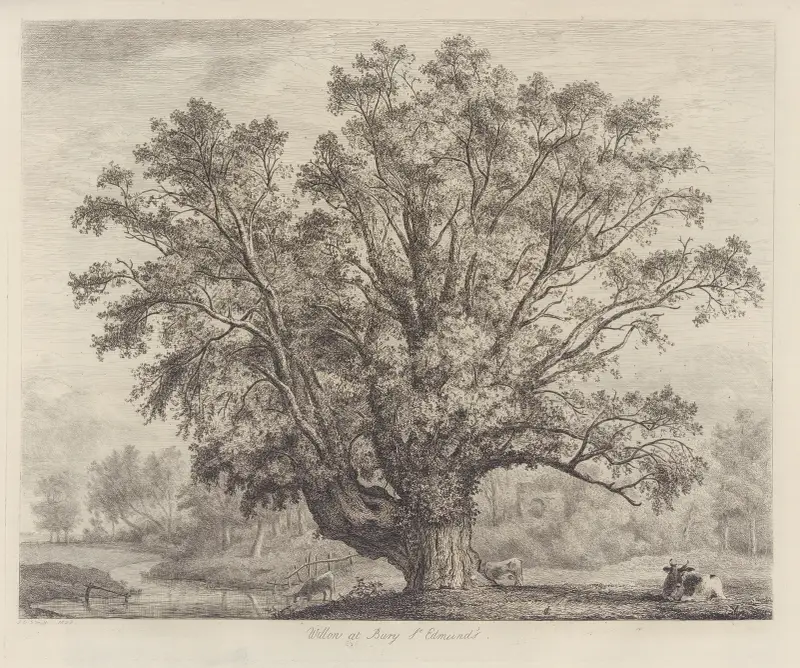 The Abbot’s Willow av Jacob George Strutt