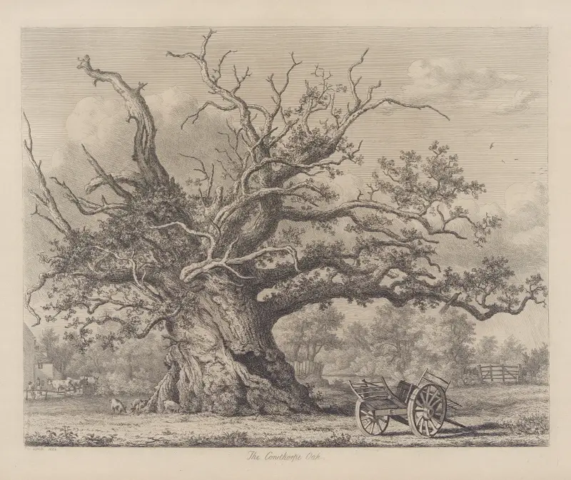 Die Cowthorpe-Eiche von Jacob George Strutt