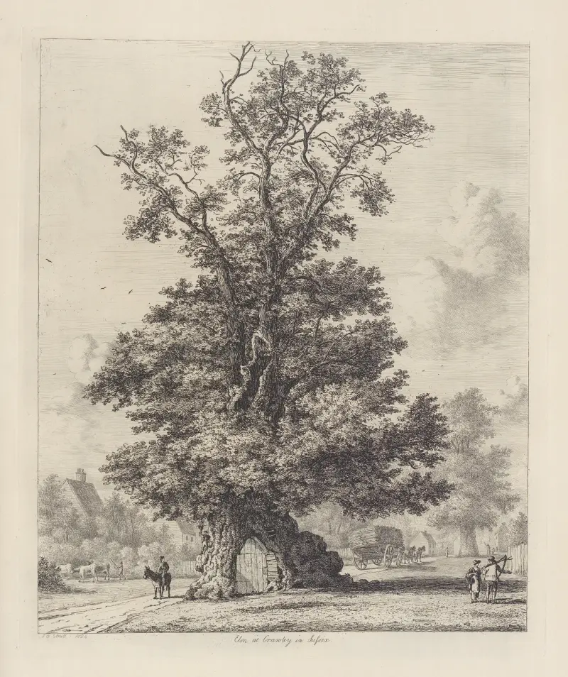 Crawleyjälmen, Jacob George Strutt