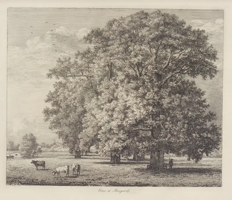 Die Ulmen bei Mongewell von Jacob George Strutt