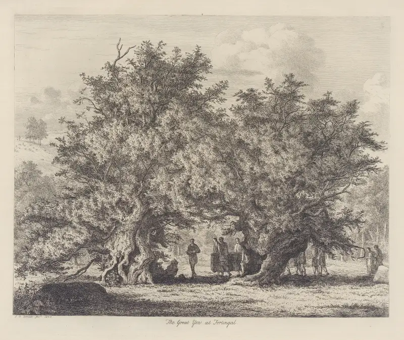 Die Eibe von Fortingal von Jacob George Strutt