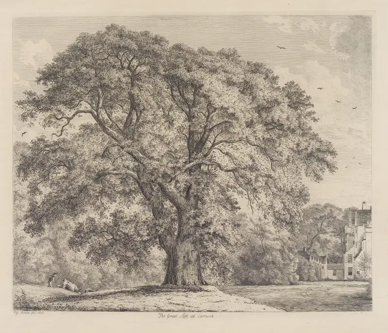 Die große Esche bei Carnock von Jacob George Strutt