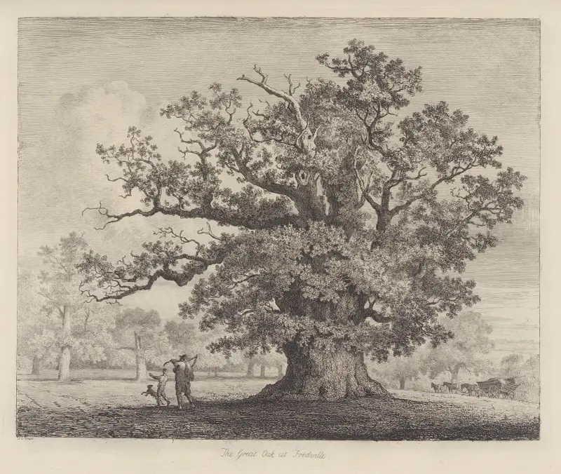 The Great Oak at Fredville av Jacob George Strutt