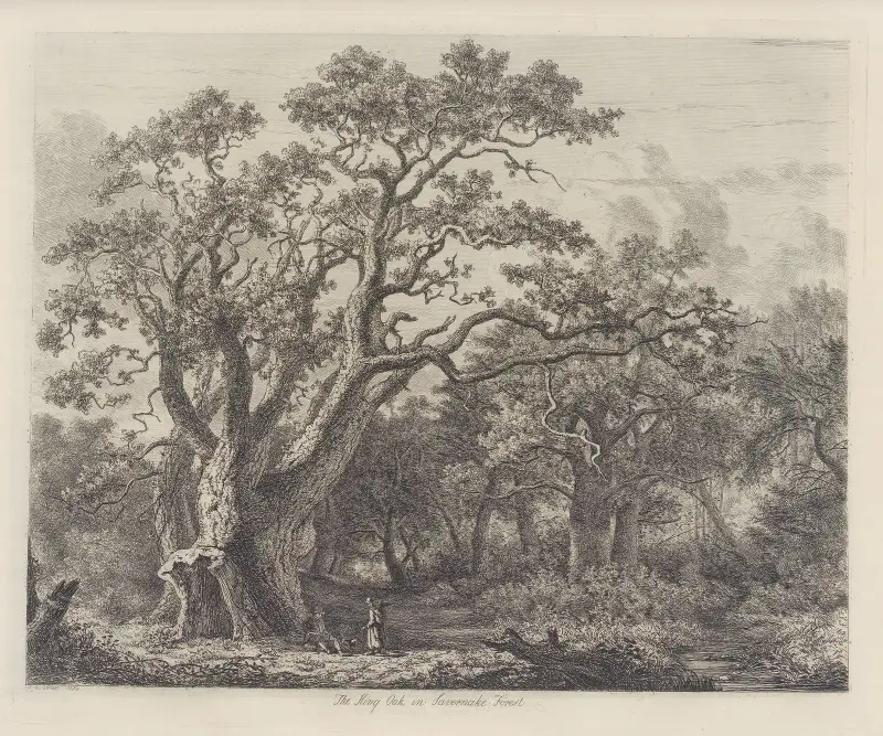 The King Oak In Savernake Forest av Jacob George Strutt