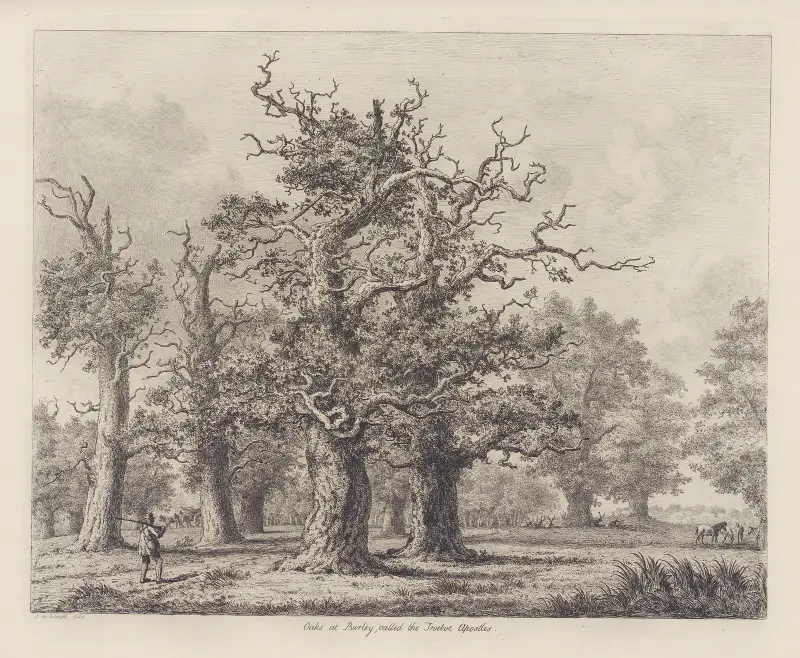 The Oaks at Burley, called the Twelve Apostles av Jacob George Strutt