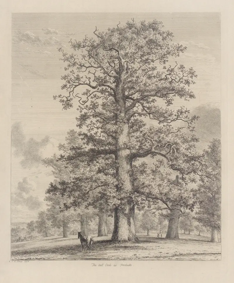The Tall Oak at Fredville av Jacob George Strutt
