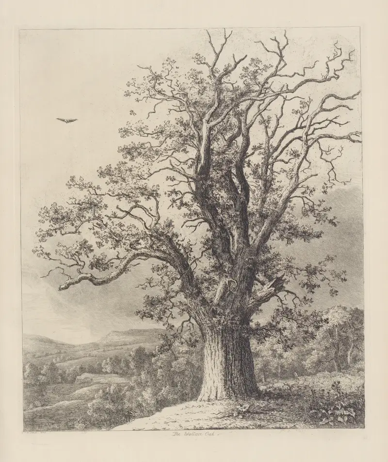 The Wallace Oak, Jacob George Strutt