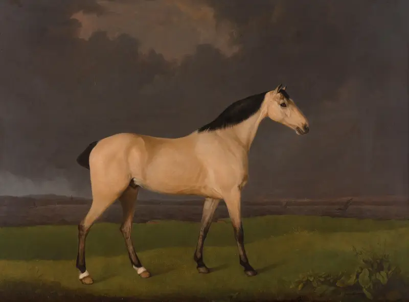 Ein grauer Hunter am Südufer des Humber, Lincolnshire von George Stubbs