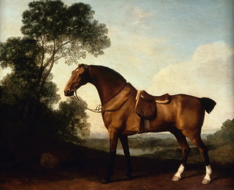 Ein gesattelter Braunjäger von George Stubbs
