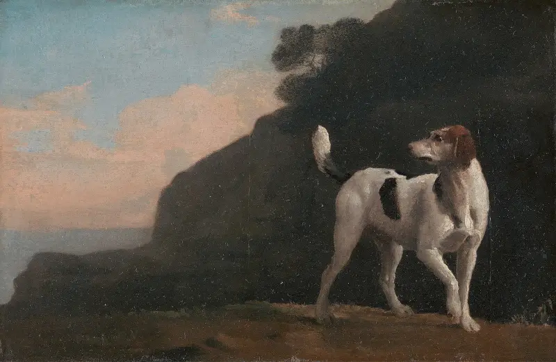 Foxhound av George Stubbs