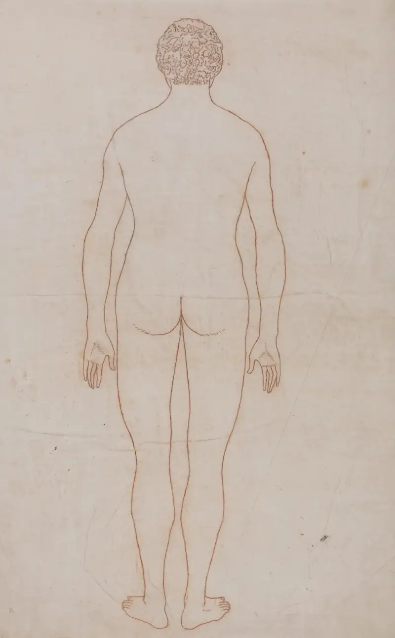 Menschlicher Körper, von hinten gesehen von George Stubbs