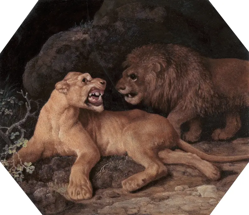Lejon och lejoninna av George Stubbs
