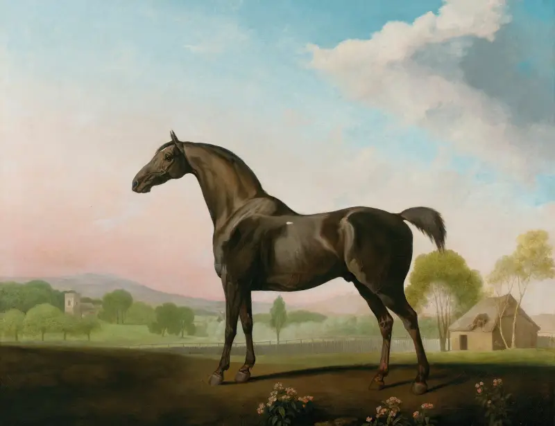 Lord Grosvenors Sweet William i ett landskap av George Stubbs