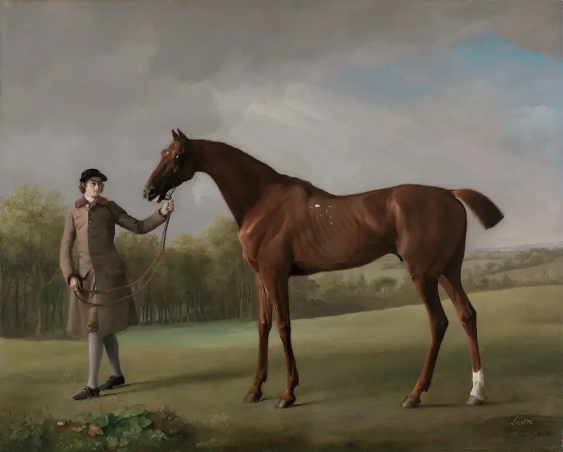 Lustre, hållen av en stalldräng av George Stubbs