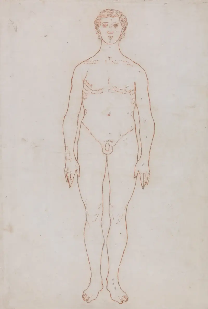 Studie av människofigur, framifrån av George Stubbs