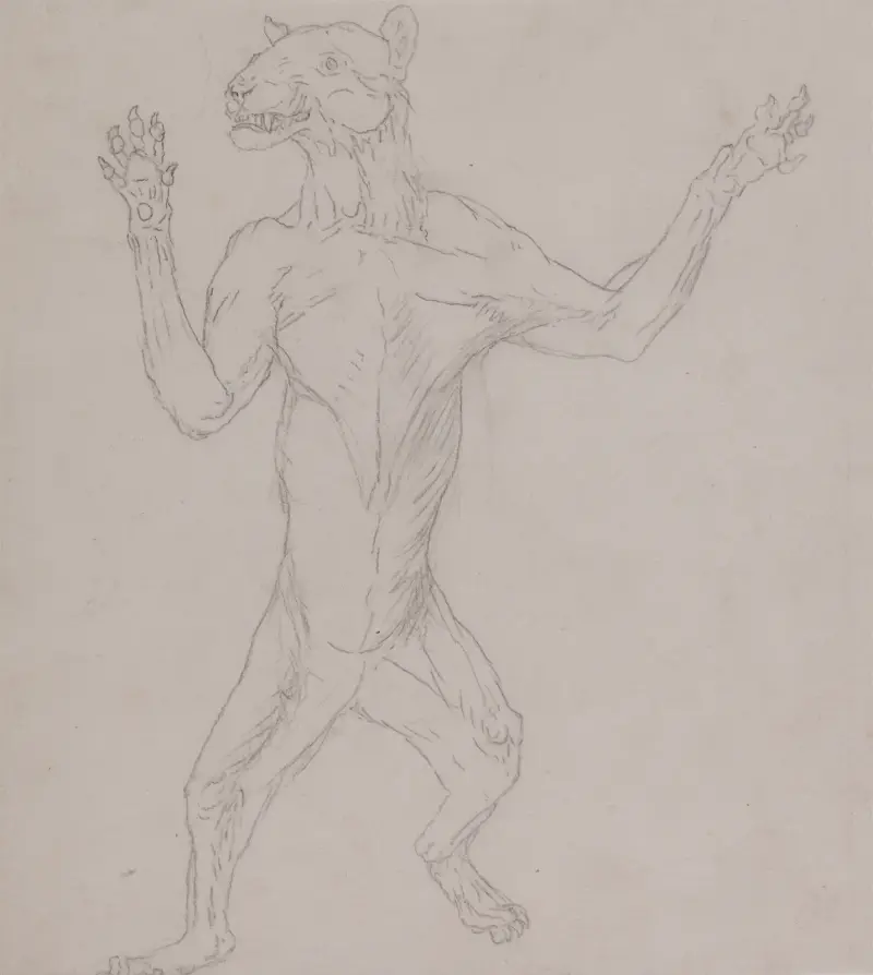 Tiger Body, Standing in Human Posture (1795 to 1806) av George Stubbs