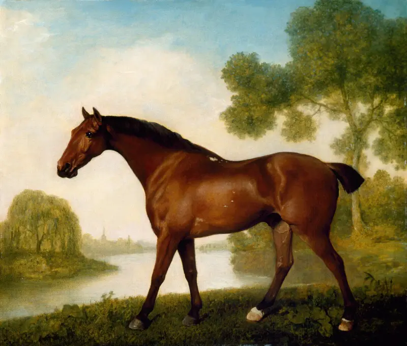 Truss, en jakthund av George Stubbs