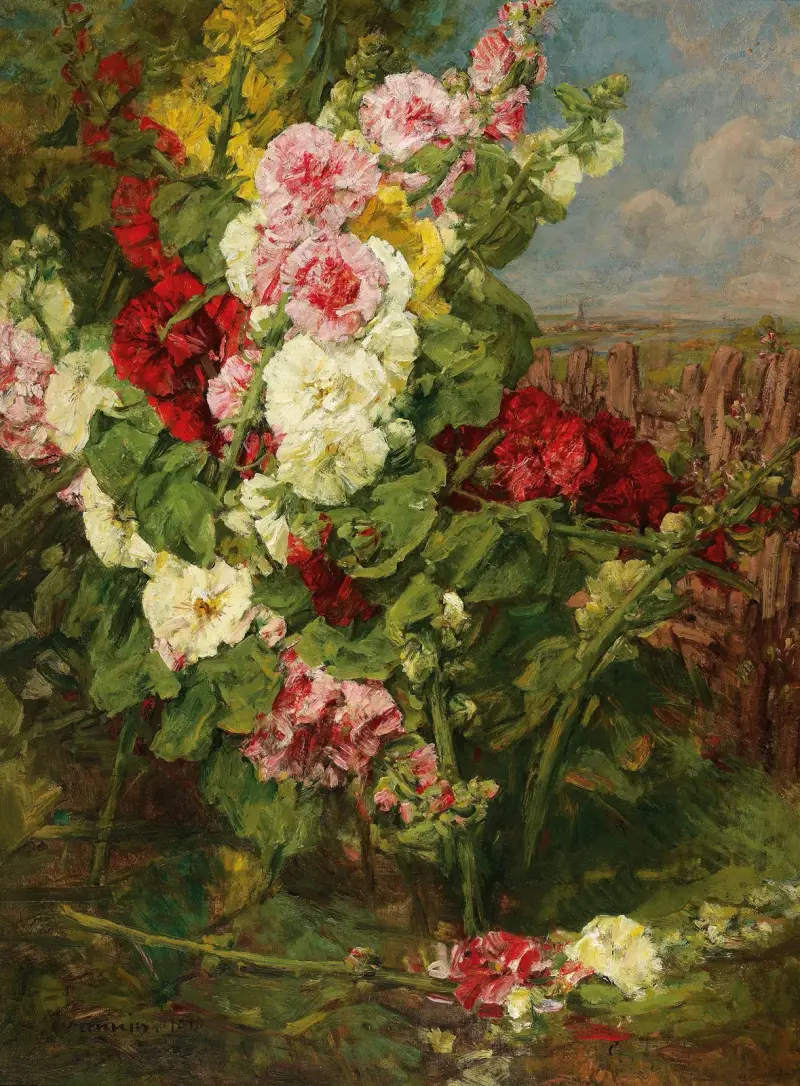 Malwa różowa, Georges Jeannin