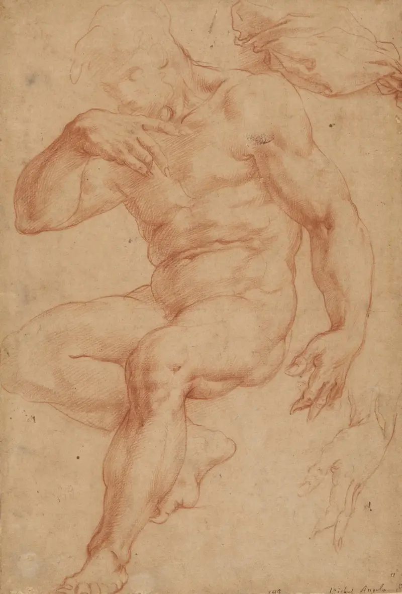 Studier av en manlig akt, ett draperi och en hand av Giorgio Vasari
