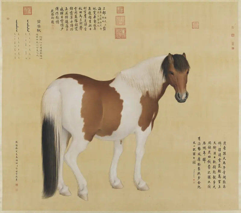 Nieyunshi av Giuseppe Castiglione