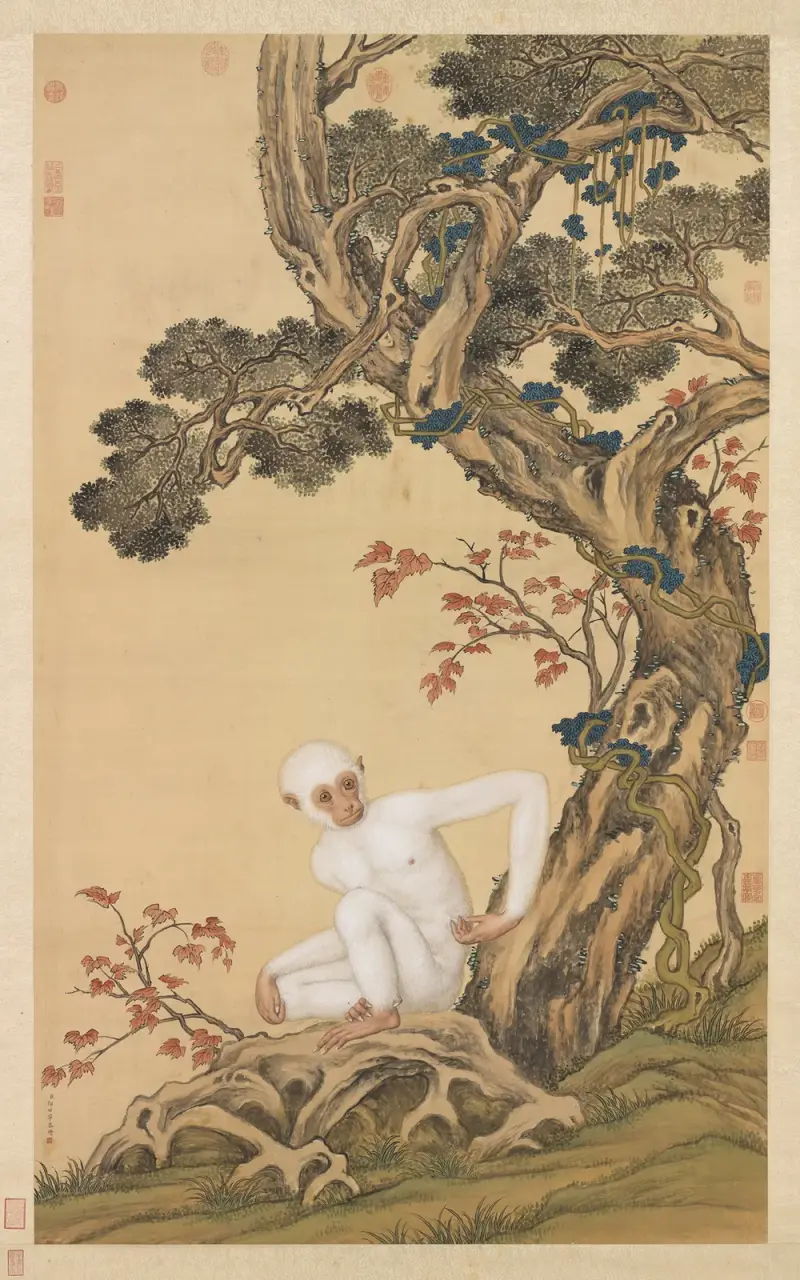 White Gibbon av Giuseppe Castiglione