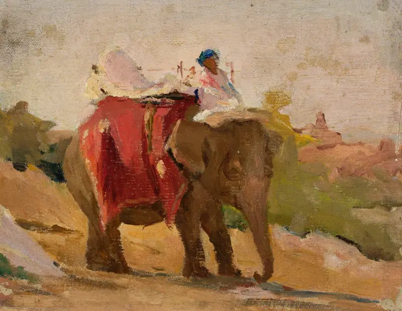 Chittorgarh – mein Elefant. Von der Reise nach Indien von Jan Ciągliński