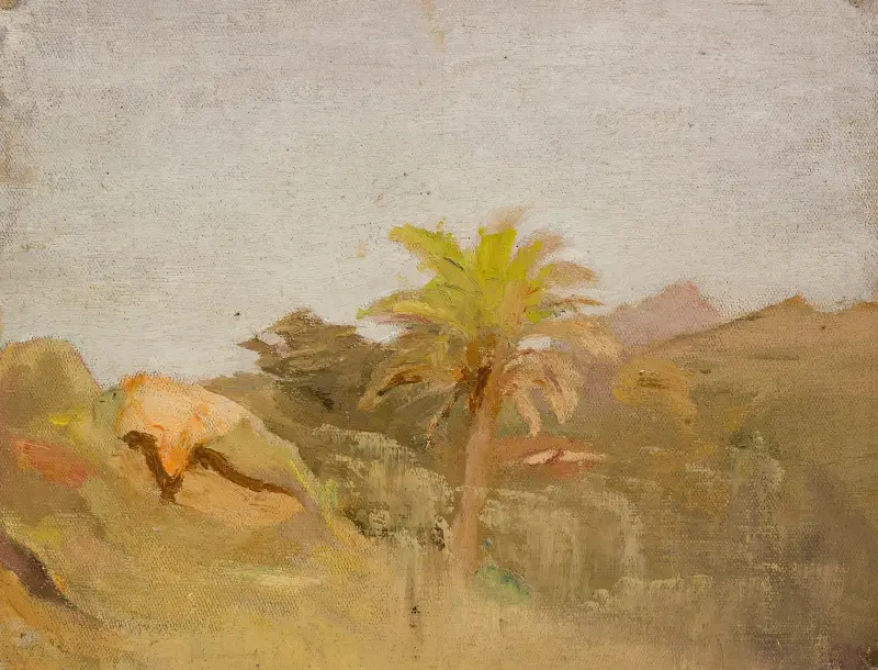 Palm i Ceylon. Från resan till Indien av Jan Ciągliński