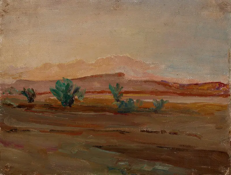 Sahara (Öken efter regn) av Jan Ciągliński