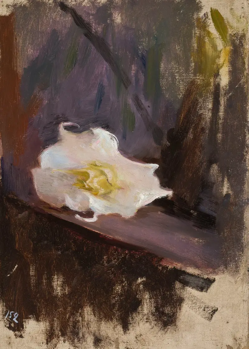 Vit blomma, studie av Jan Ciągliński