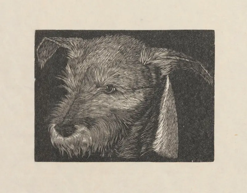 Head of ‘Beauty’ the dog, Wiktoria Goryńska