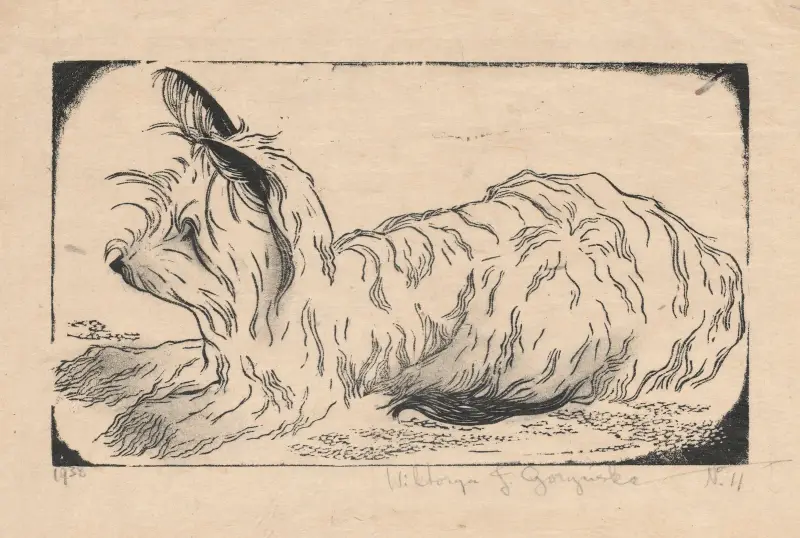 Schottischer Terrier von Wiktoria Goryńska