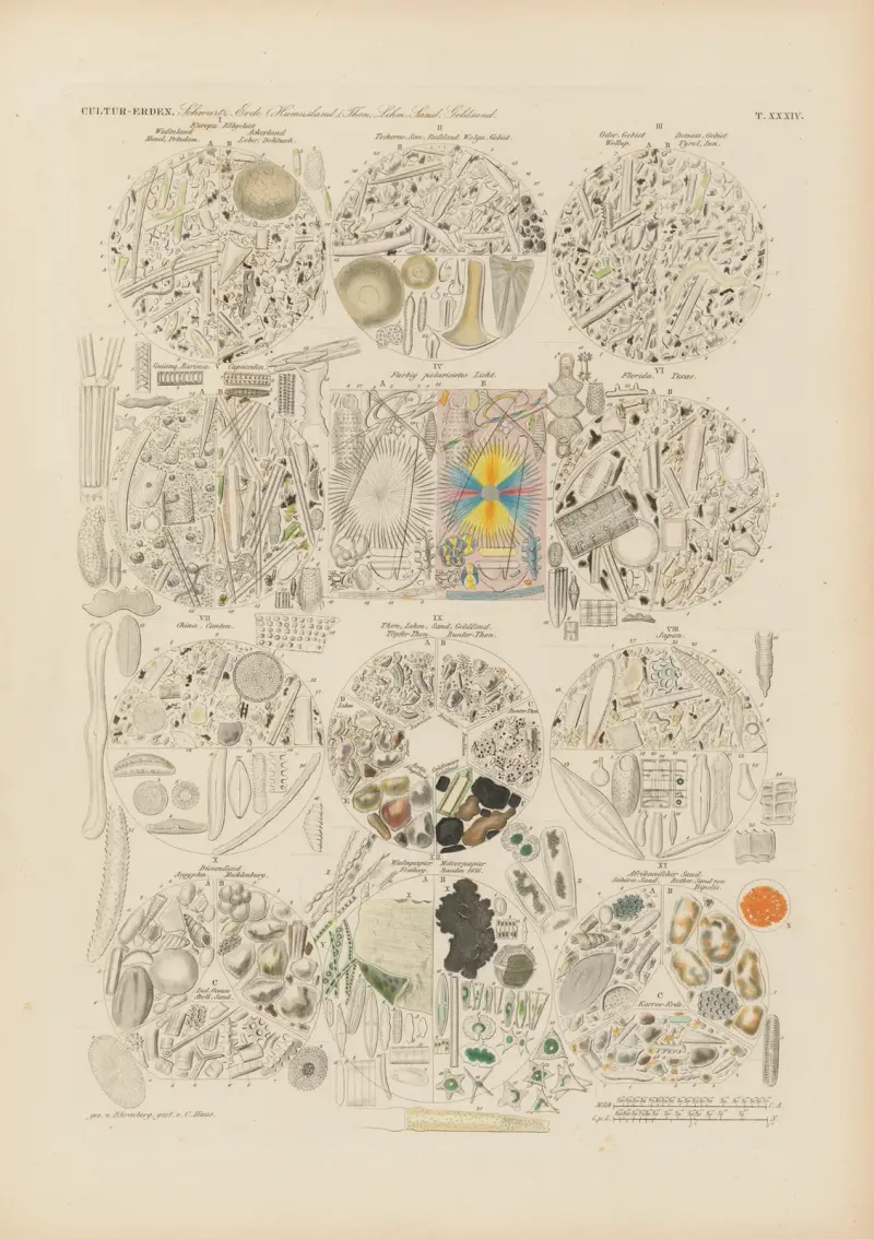 Mikrogeologie Pl.34 av Christian Gottfried Ehrenberg