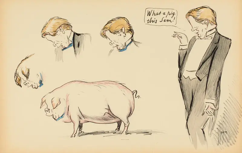 What a pig this Sem ! av Georges Goursat (Sem)