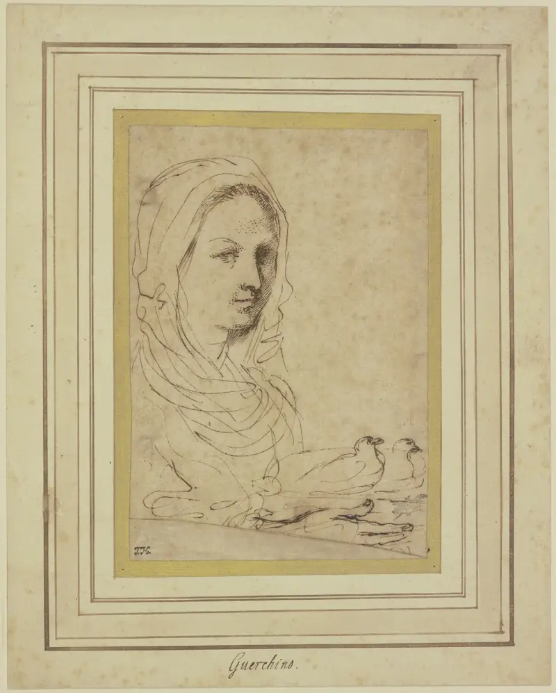 Byst av en flicka som bär två duvor av Guercino