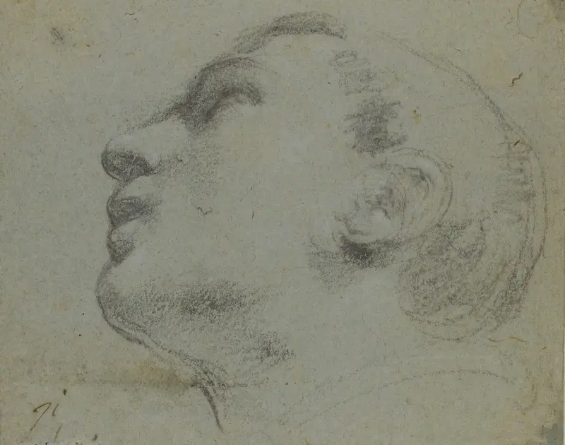 Ett manshuvud vänt åt vänster av Guercino