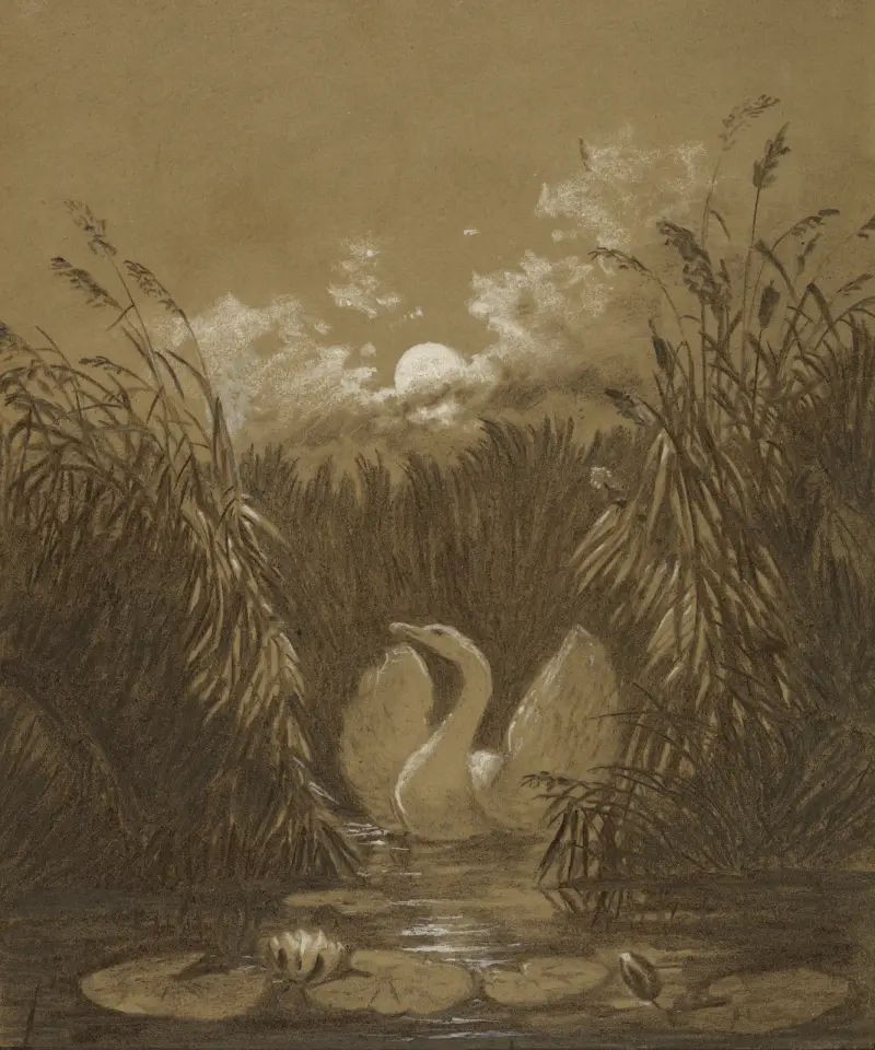 En svan bland vassen, i månsken av Carl Gustav Carus