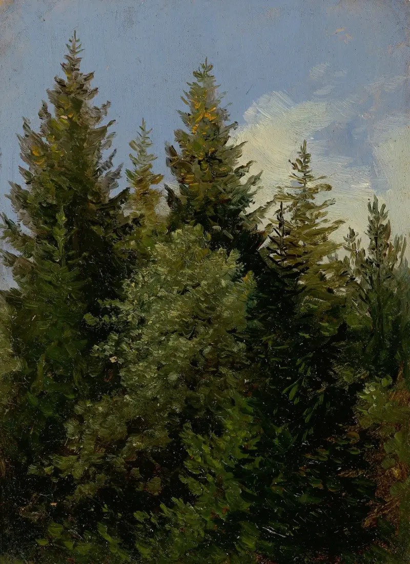 Jodły, Carl Gustav Carus