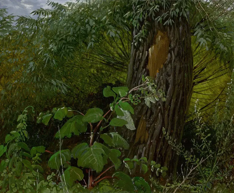 Pilträd med undervegetation av Carl Gustav Carus