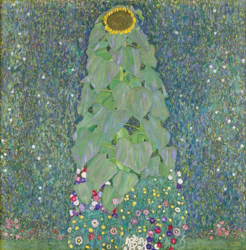 Slunečnice, Gustav Klimt