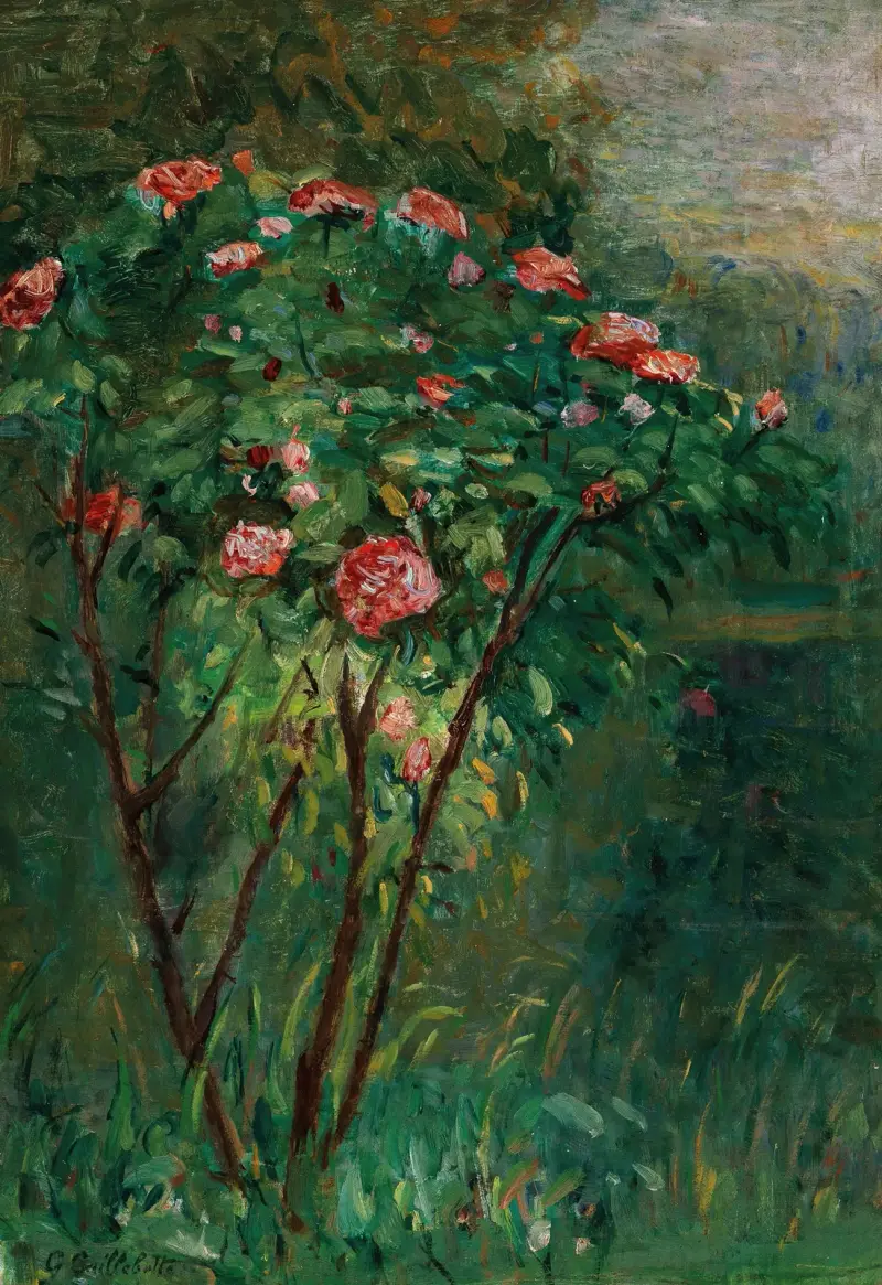 Der blühende Rosenstrauch von Gustave Caillebotte