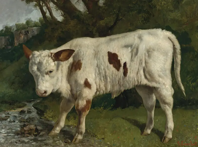 Le Veau Blanc av Gustave Courbet