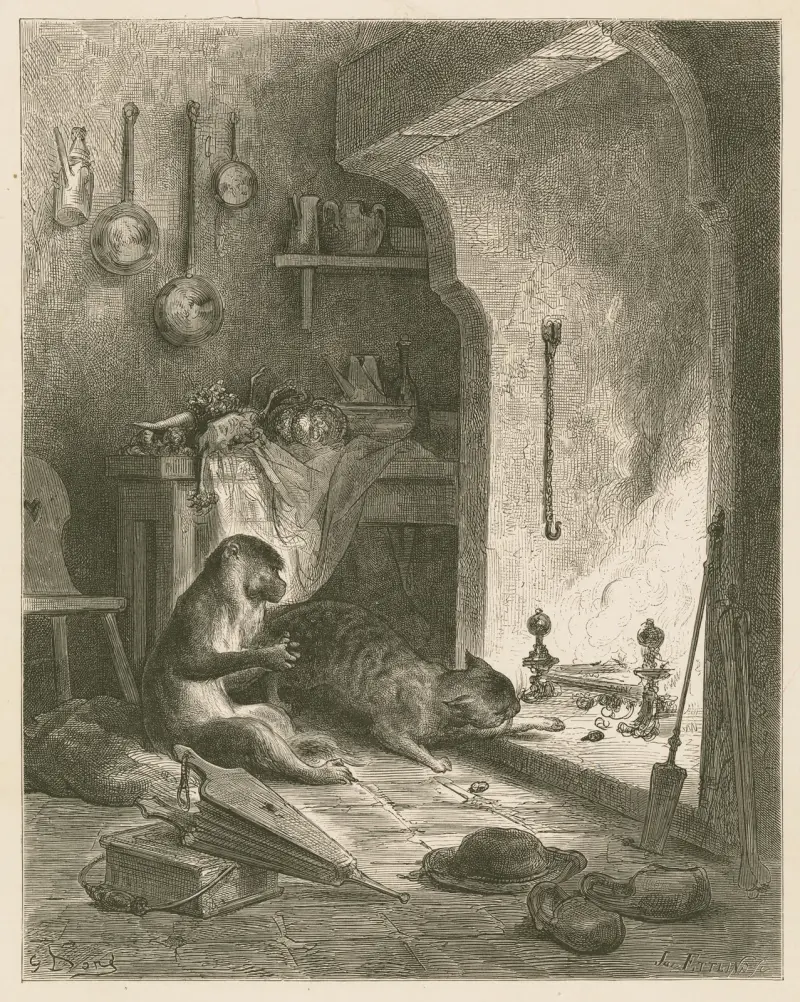 Apan och katten av Gustave Doré