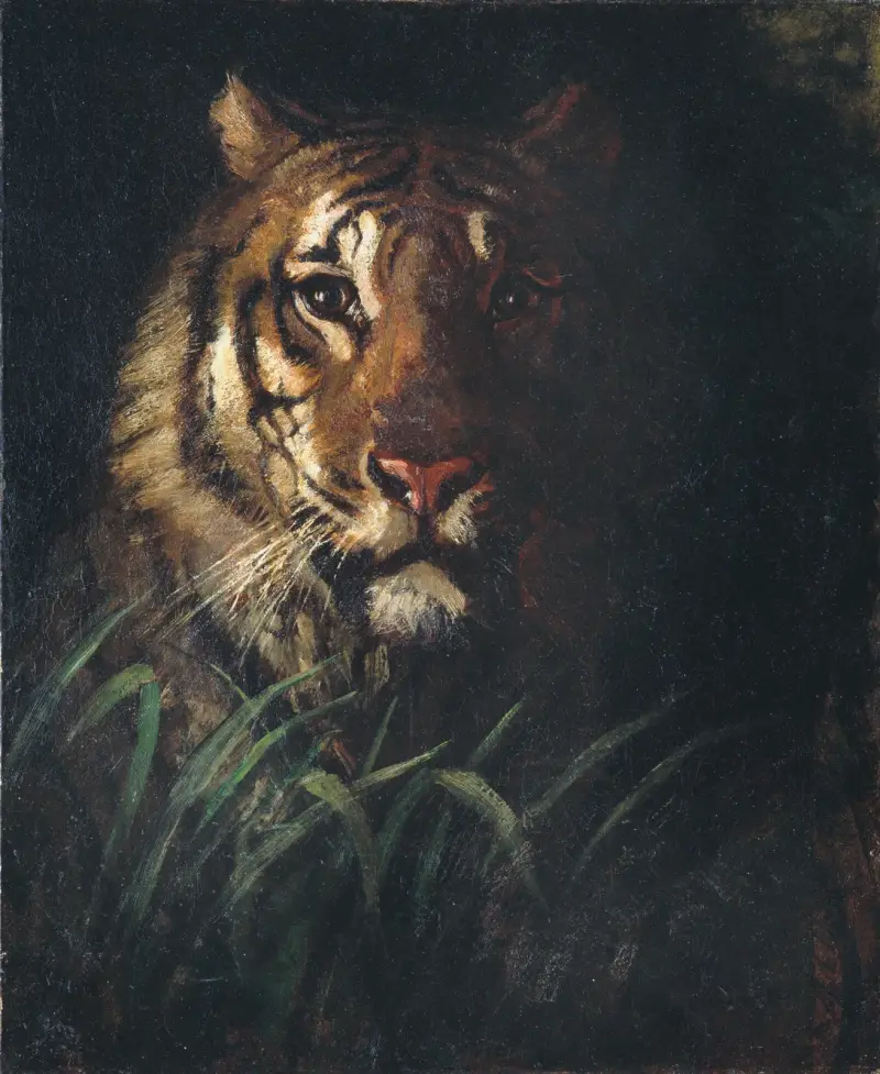 Tigerhuvud av Abbott Handerson Thayer