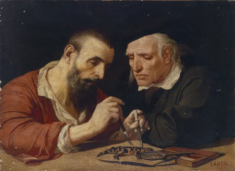 Der Salamander, Hans Canon