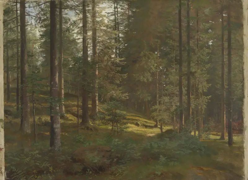 Waldlandschaft von Hans Gude