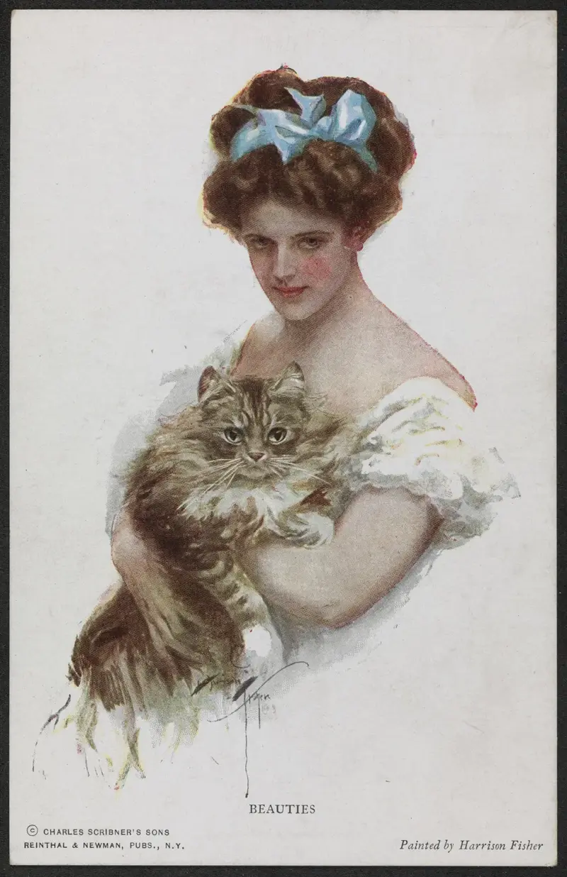 Piękności, Harrison Fisher