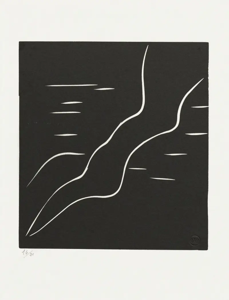 Le plongeon II av Henri Matisse